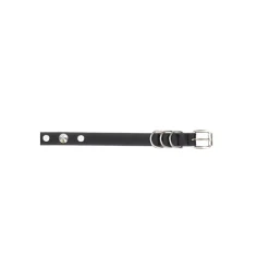 Ceinture Élégante pour Femmes