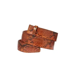 Ceinture Python