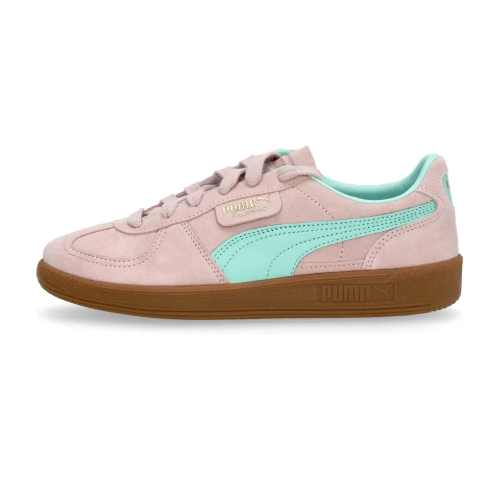 Chaussure Palermo Basse