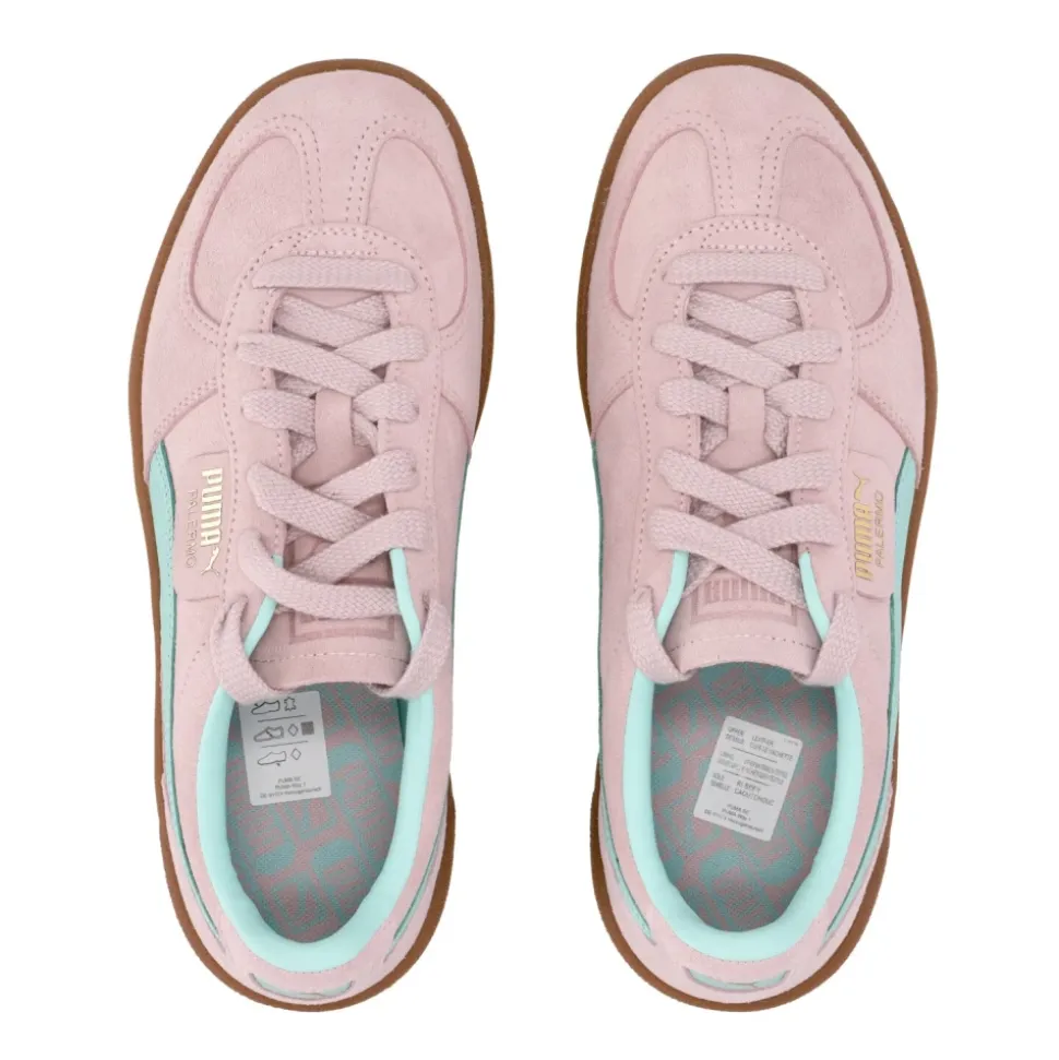 Chaussure Palermo Basse
