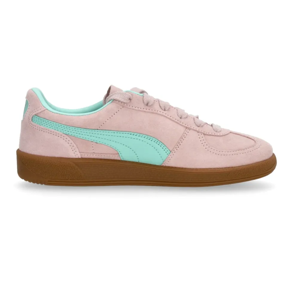 Chaussure Palermo Basse