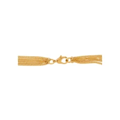 Collier Miami