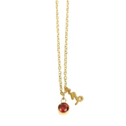 Collier étanche Capricorne avec Grenat