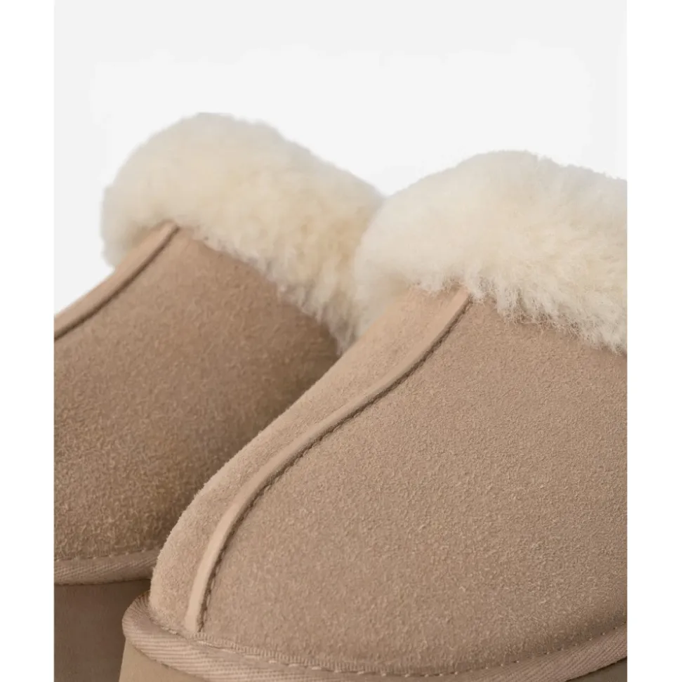 Disquette Slipper