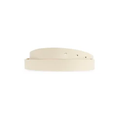 Frame Belt