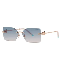 Élégantes Lunettes de Soleil Rectangulaires