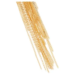 Long Earrings