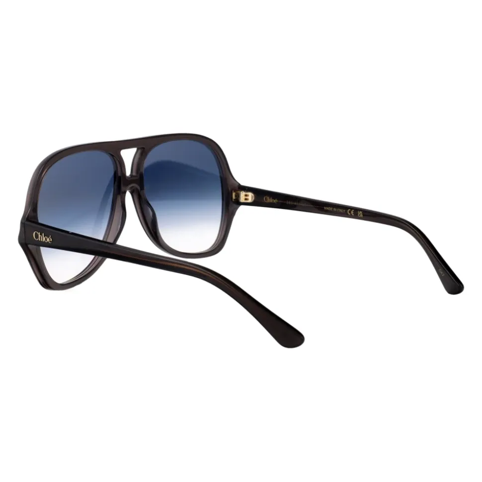 Lunettes de soleil élégantes pour femmes