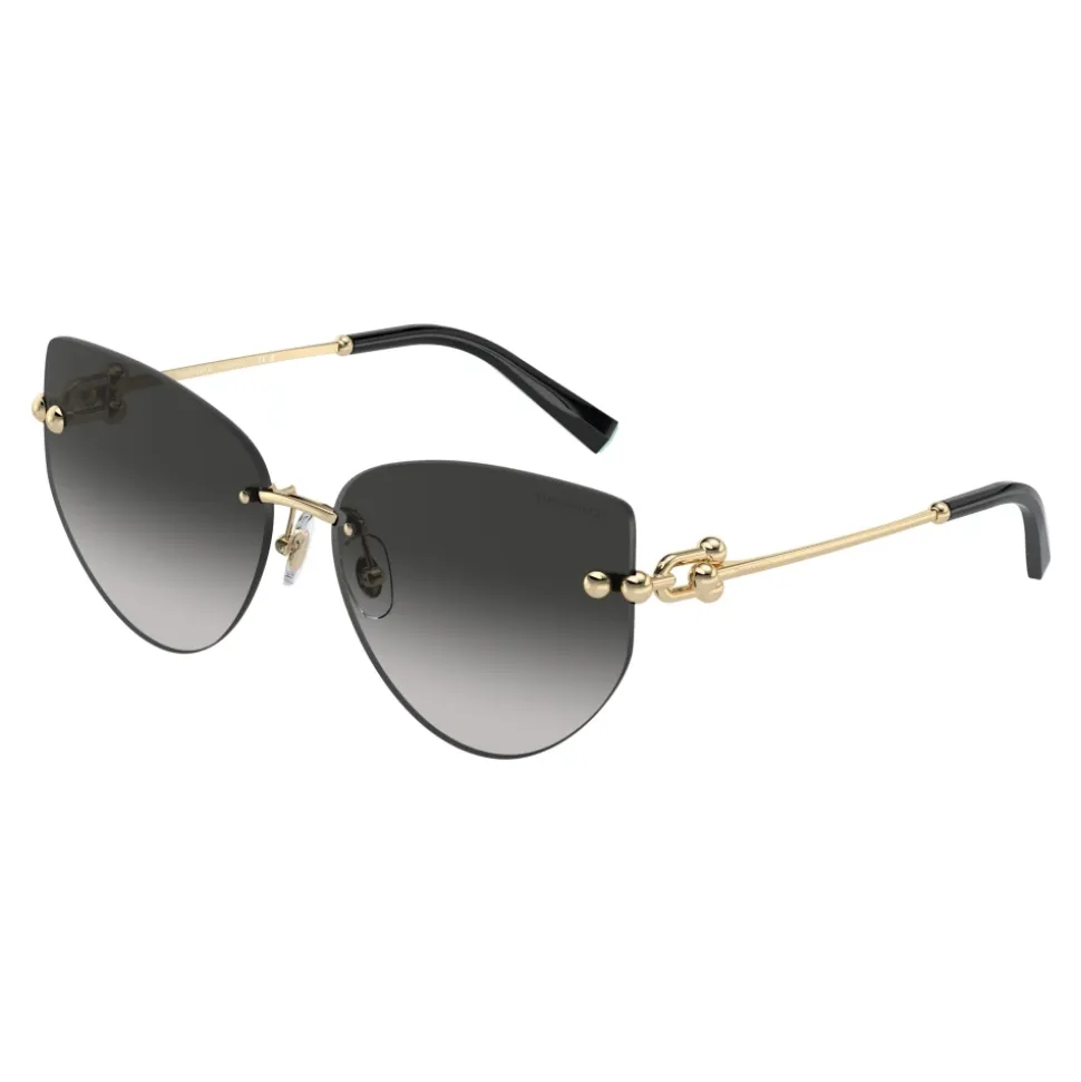 Lunettes de soleil TF3096 Modèle 60213C