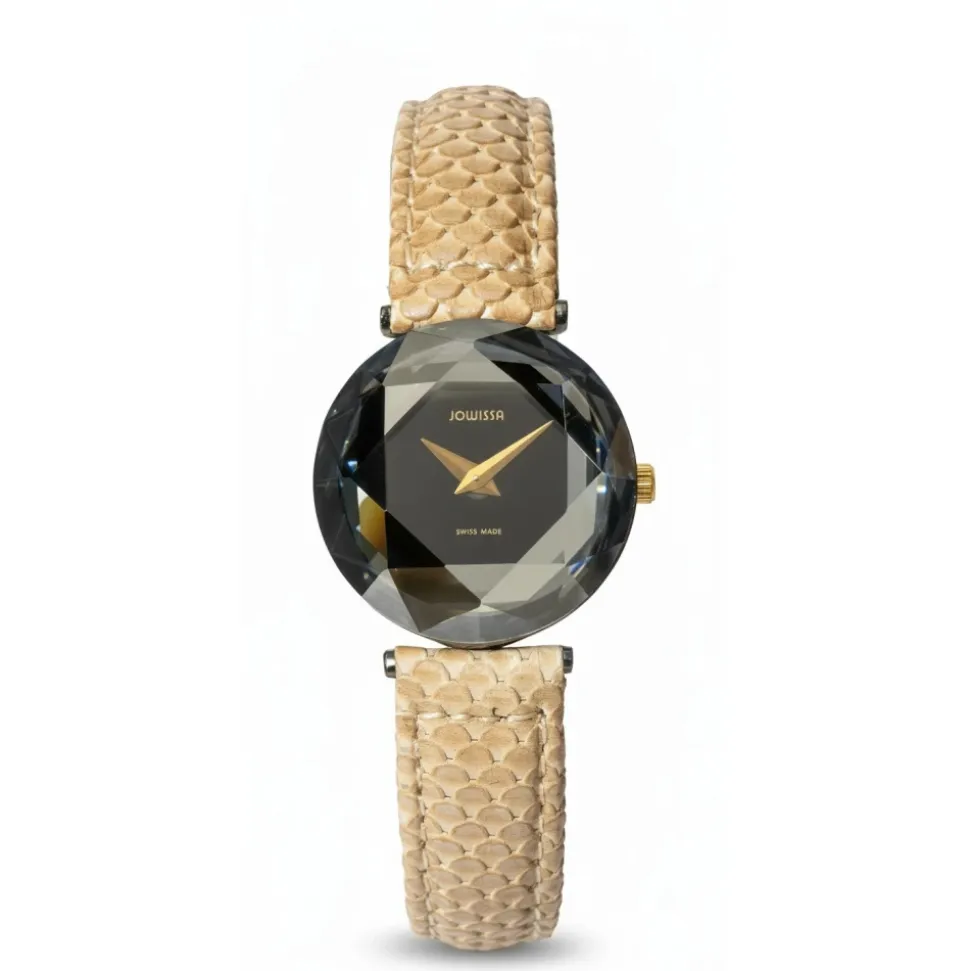 Montre avec oxydes de zirconium