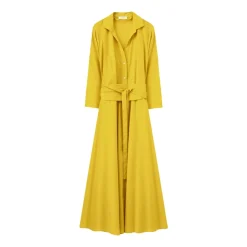 Robe chemisier