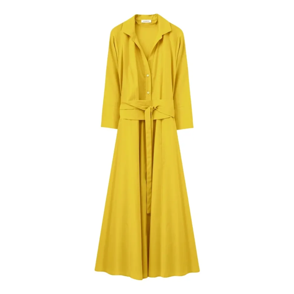 Robe chemisier