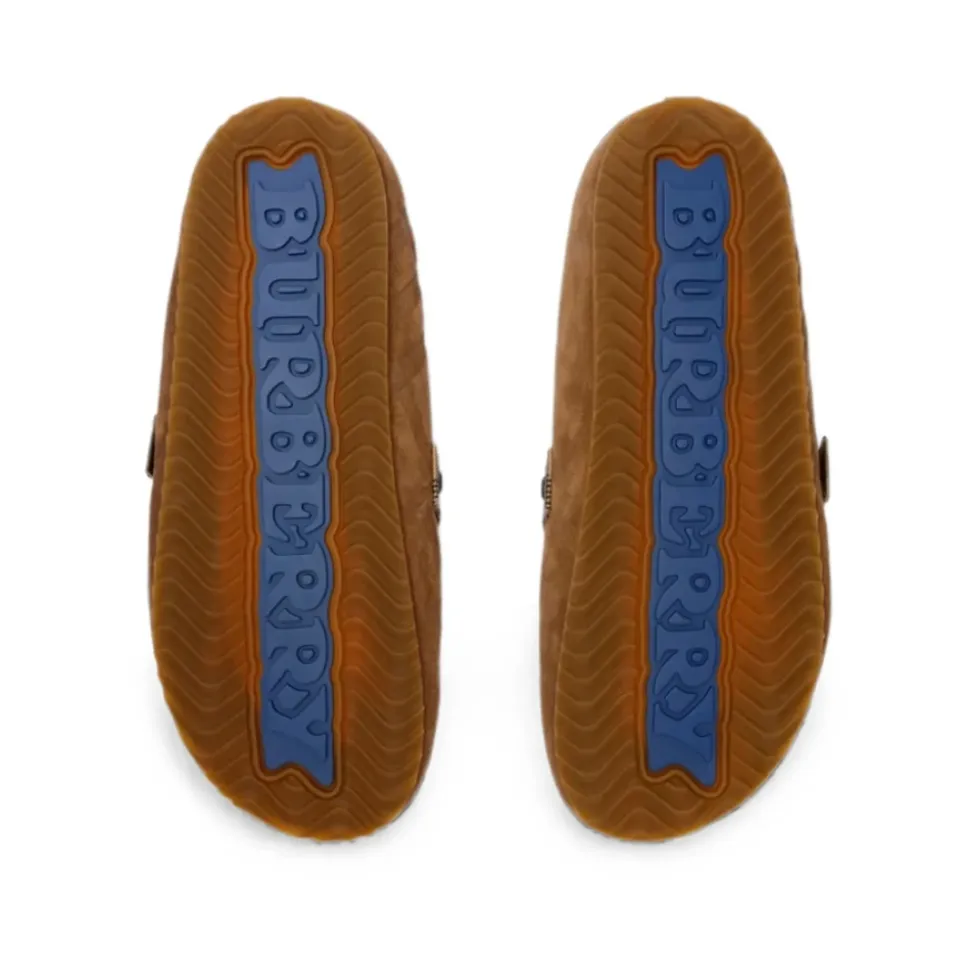 Sabots Urchin