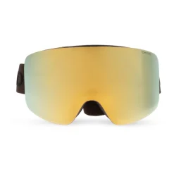 Ski goggles