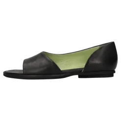 TARR3 Flat