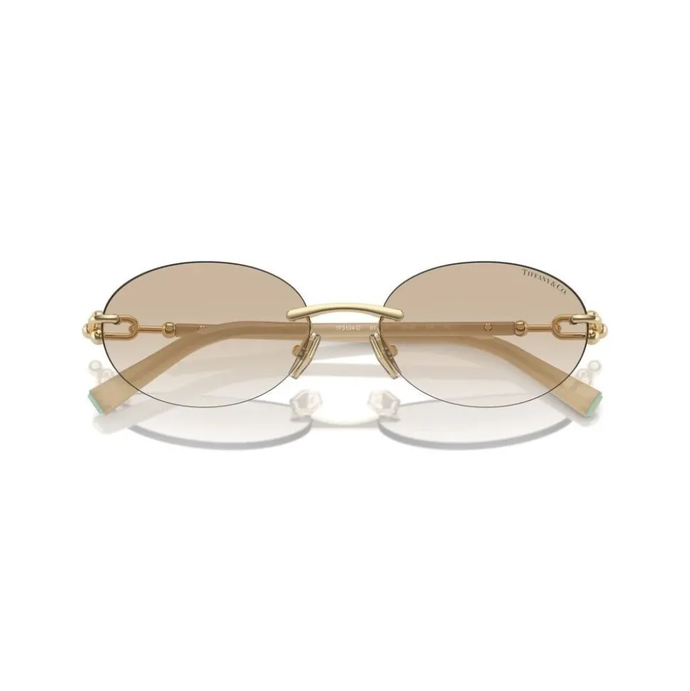 TF3104D Sunglasses